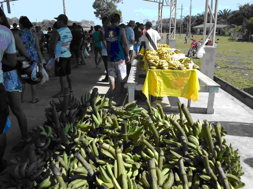 Produtos da agricultura familiar Feira da Agricultura Familiar