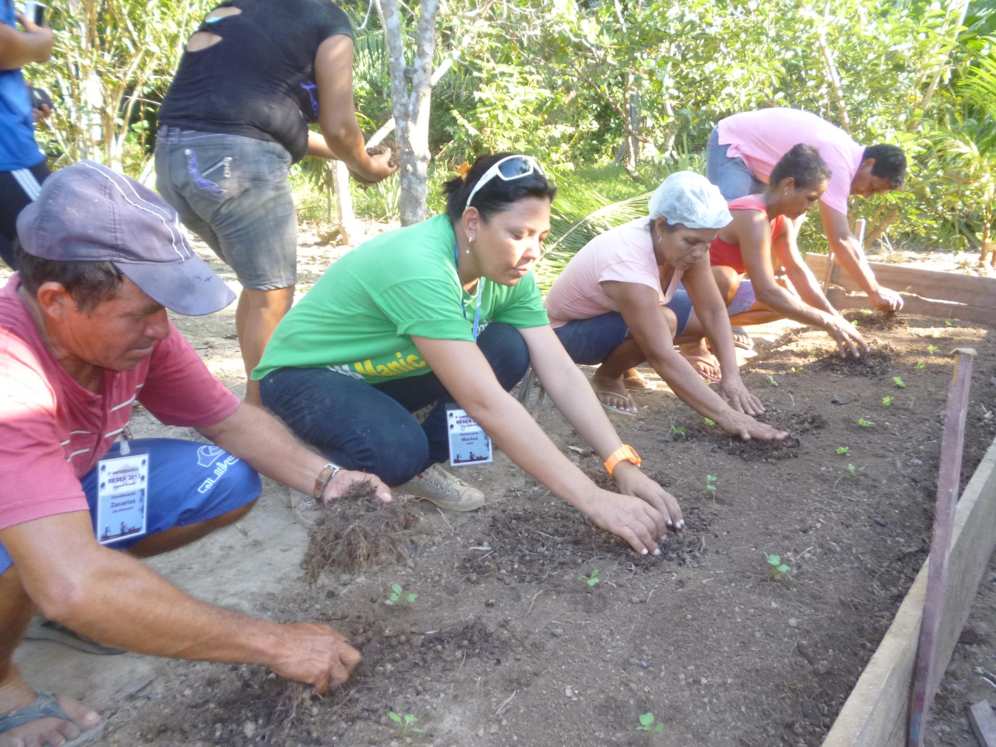 Cultivo de hortaliças