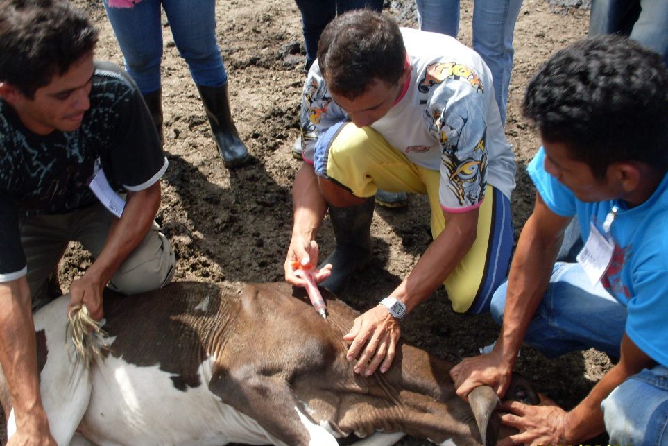 Curso de vaqueiro