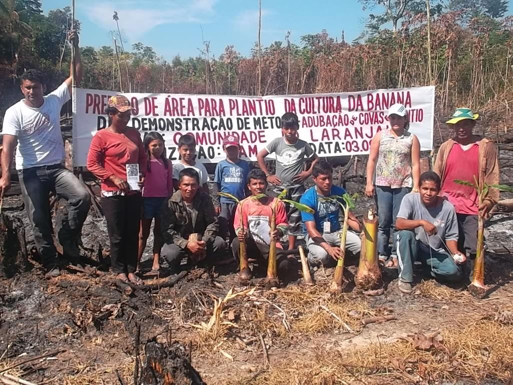 Participantes da Demonstração de Método sobre a cultura da banana