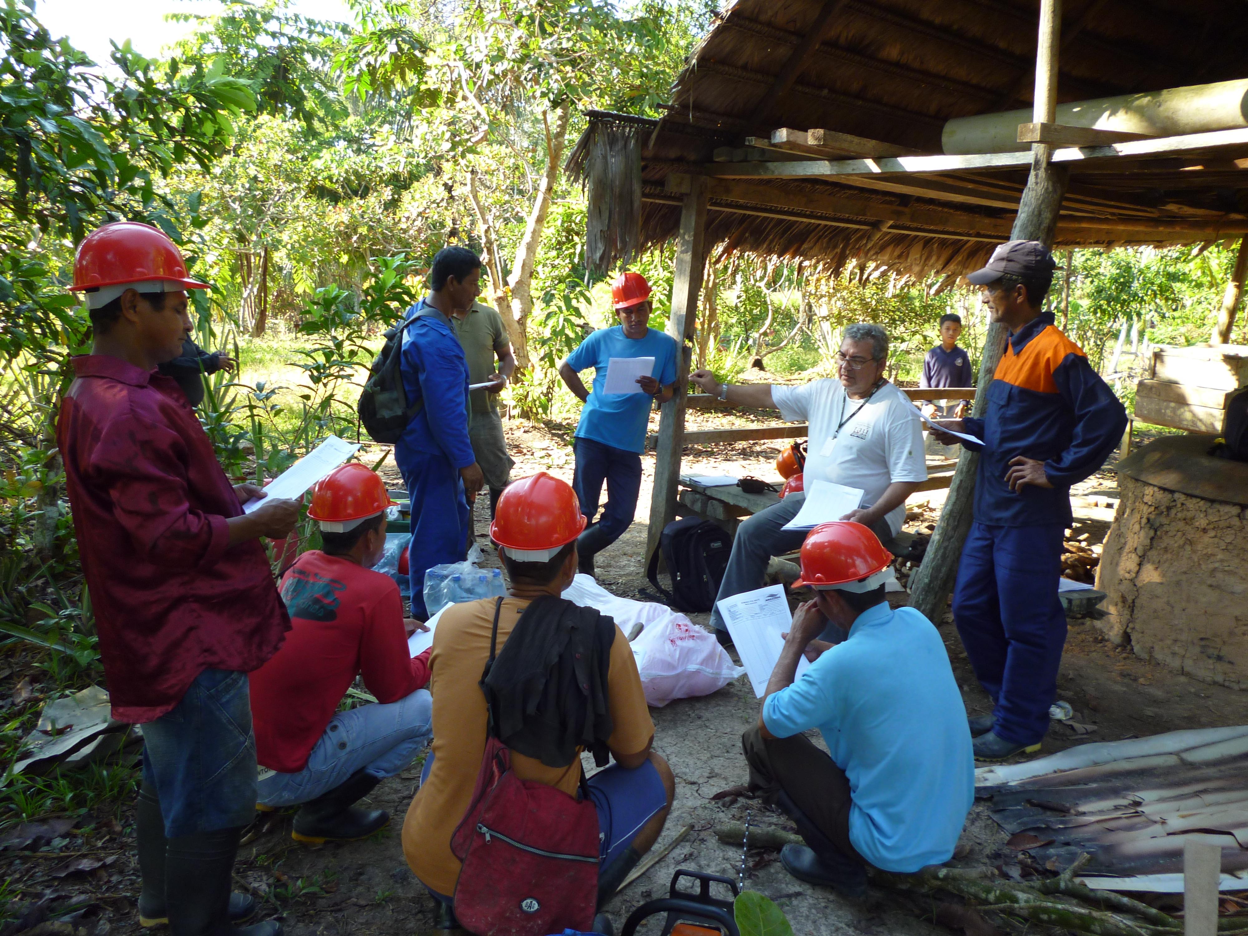Planejamento de exploração florestal