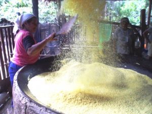 Imagem da notícia - Agricultores de Barcelos são capacitados em boas práticas para produção de farinha