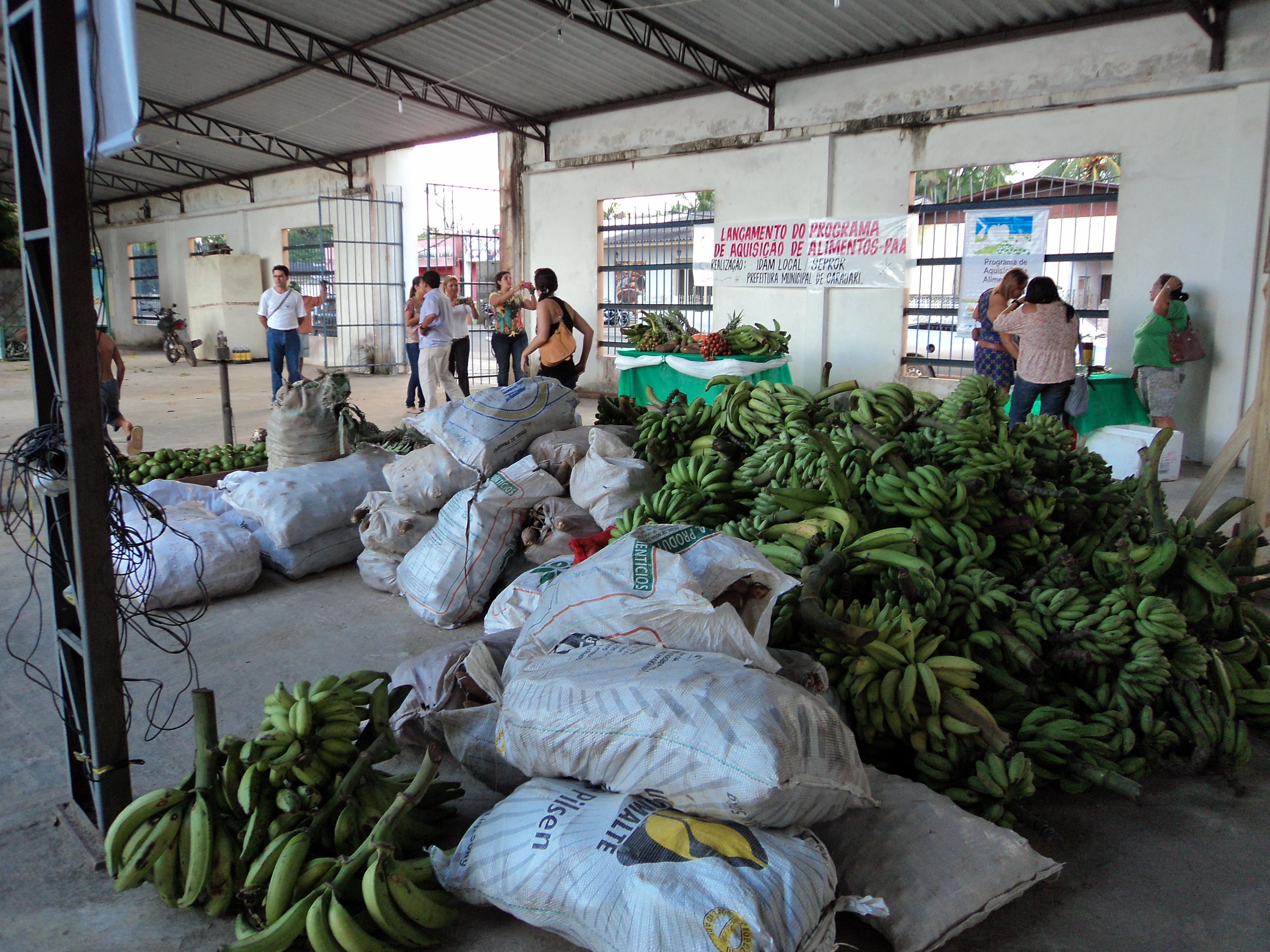 Produtos agrícolas comercializados, por meio do PAA