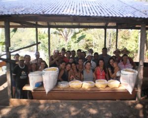 Tipos de farinha produzido pelos agricultores durante o curso