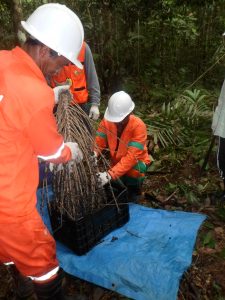 Comunidade Gumo do Facão (48)