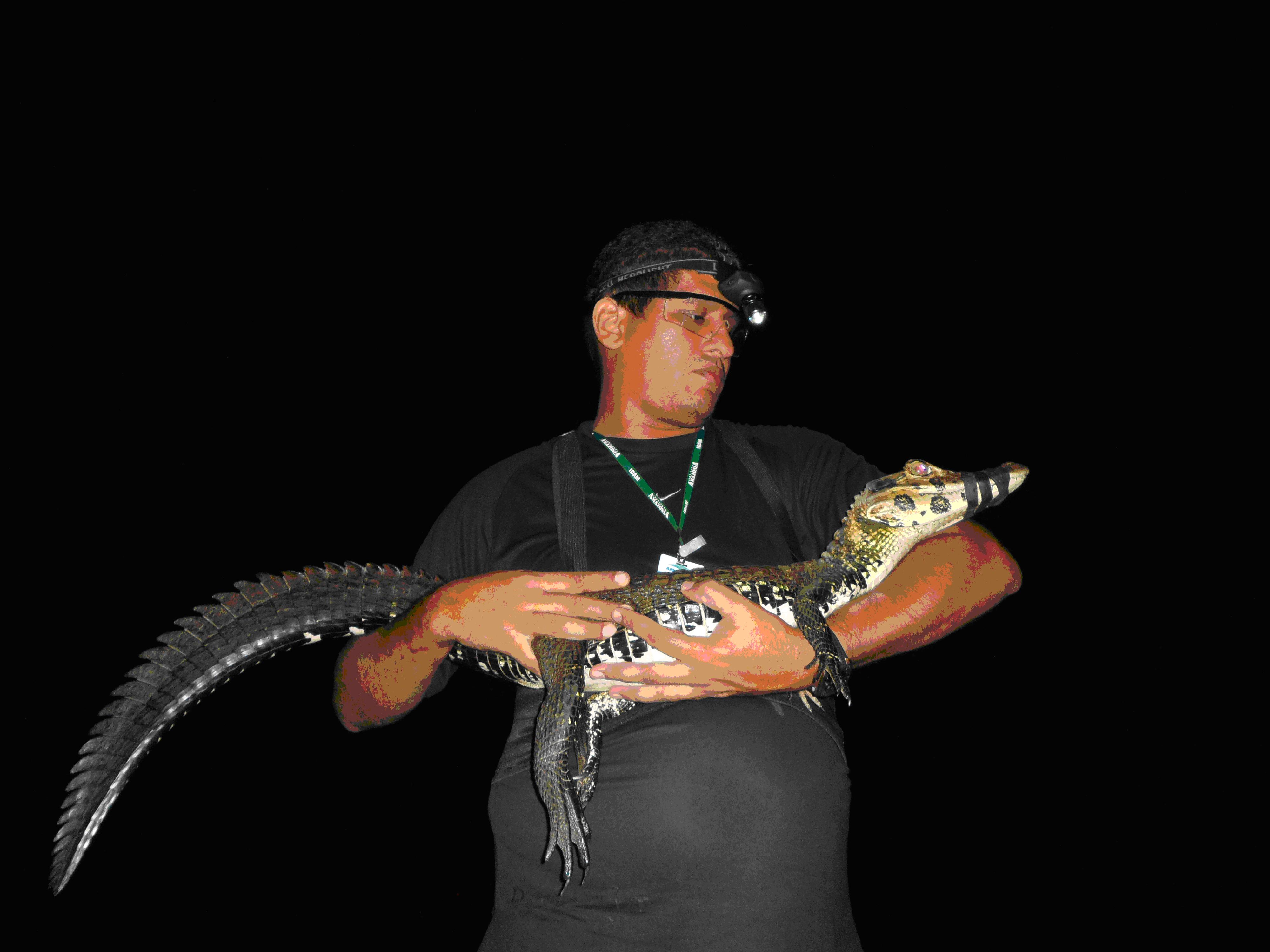 MANEJO SUSTENTÁVEL DE JACARÉS