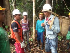 manejo do açaí.JPG2