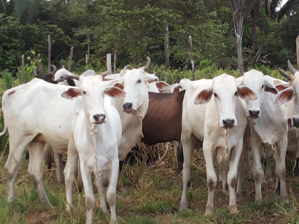 altApBSl5xKe4pl9fH90-FPS8GTPUpjF0Uz8_a4SXLSyUCM_jpg