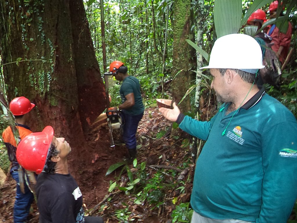 Pratica de campo (2)