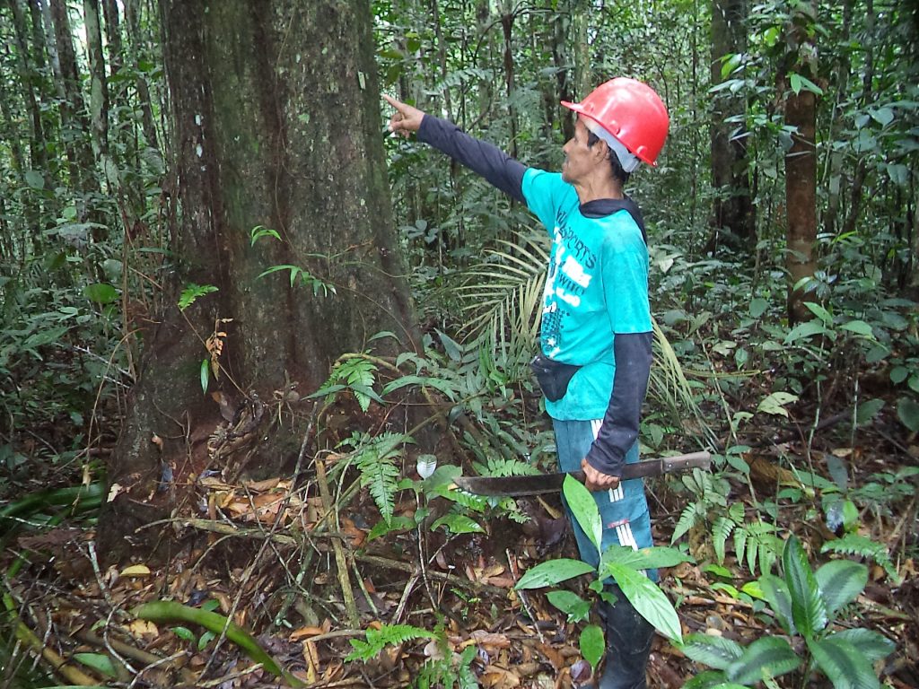 Pratica de campo (3)