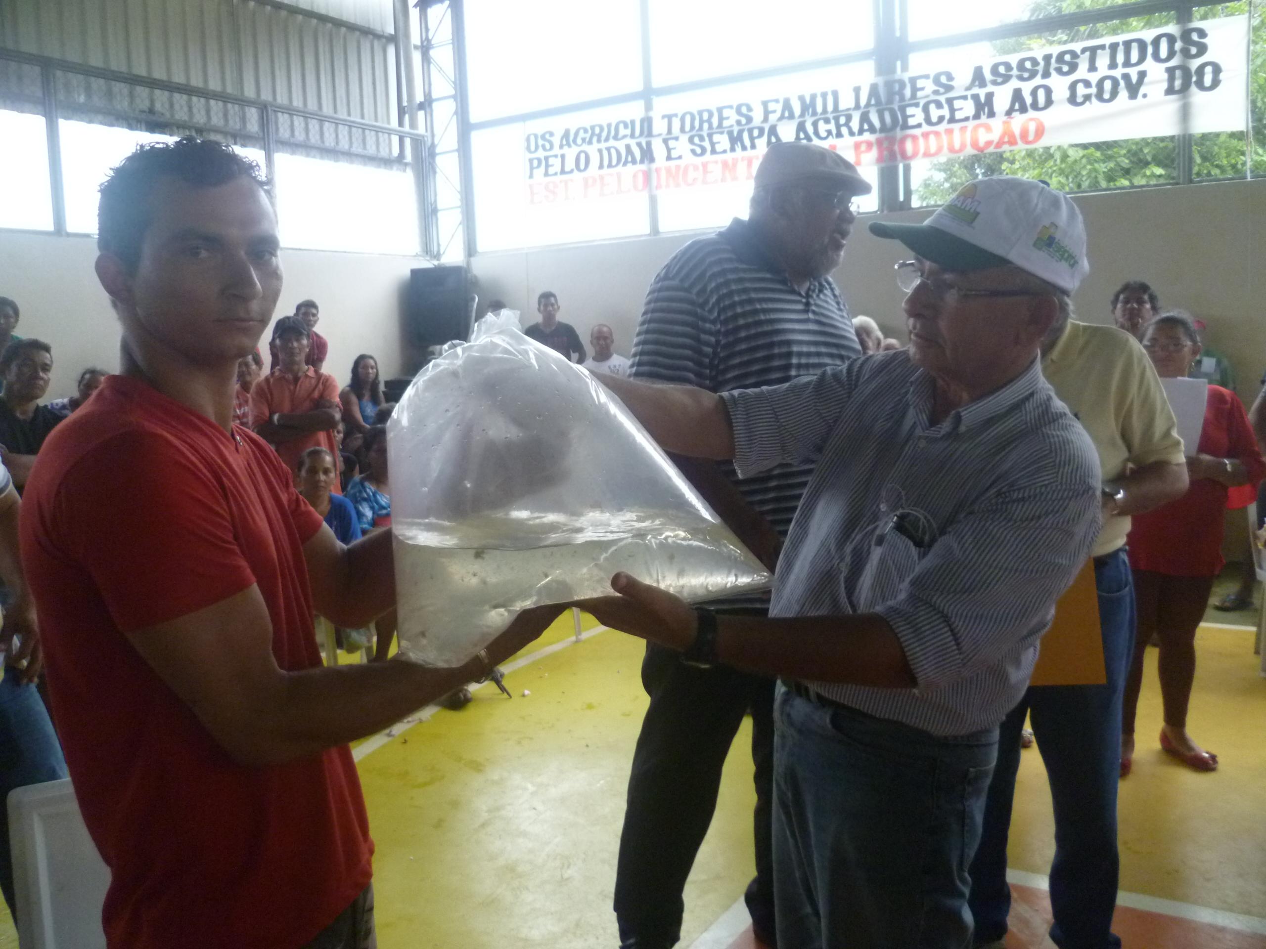 P1090422 entrega de pós-larvas a piscicultor pela SEPROR