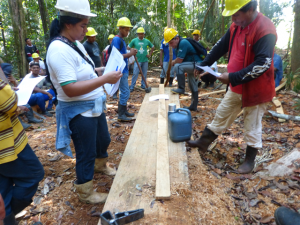 Imagem da notícia - Técnicas de manejo florestal são incentivadas pelo IDAM em Parintins