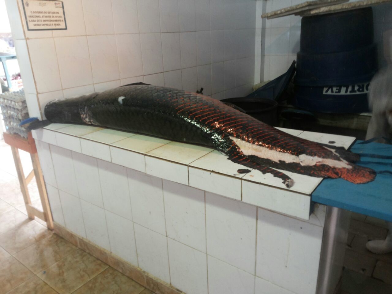 altAlan06Ba65Ob21D4cIBFZRSVS6ng9IDlNAsHp9rujtgb