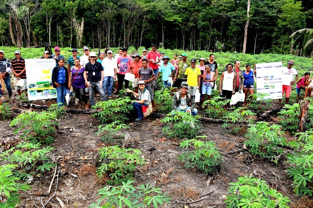 Participantes do Dia de Campo Cultivo de Mandioca em Terra Firme_foto Siglia Souza 2