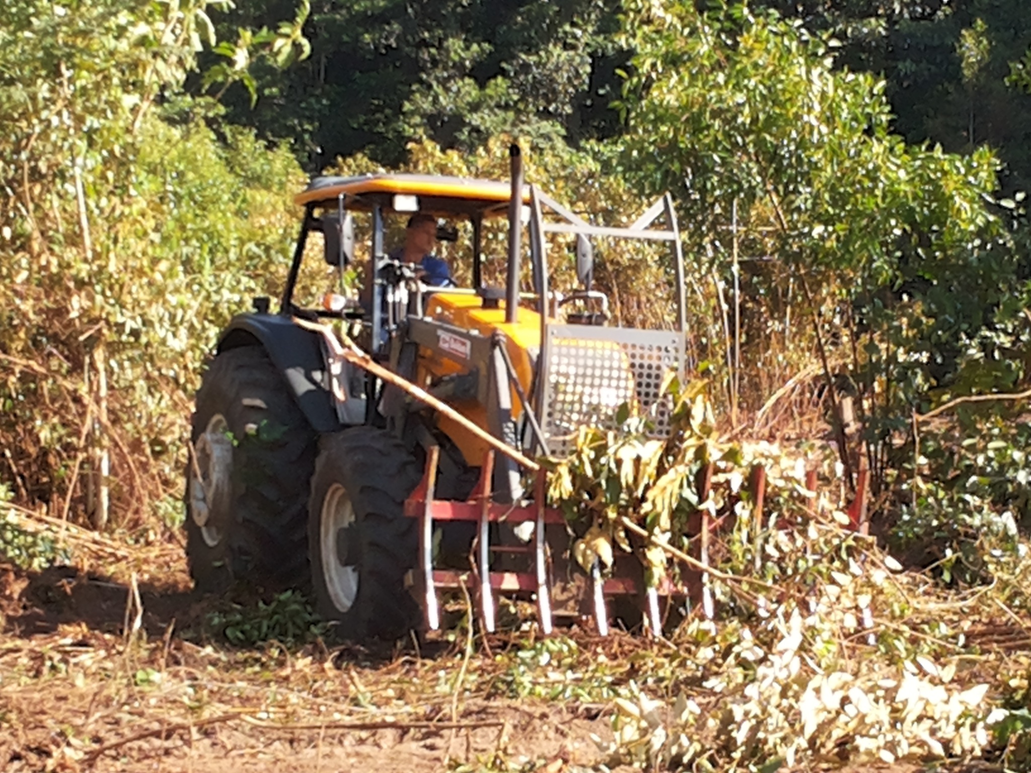 mecanização agricola