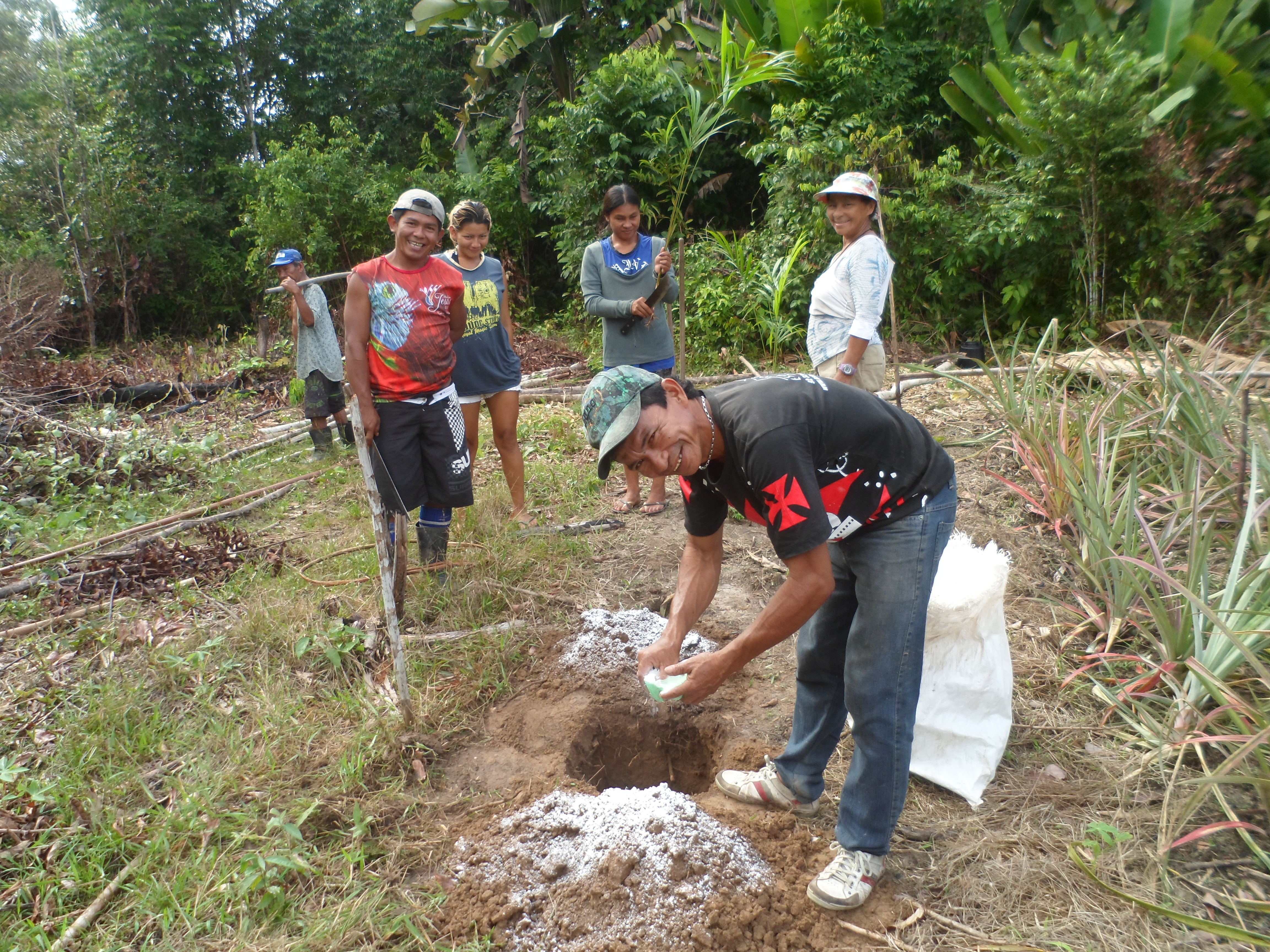Agricultor indígena Francisco Silva, realizando aplicação de calcário para correção de acidez do solo (cultura açaí) Foto: Unidade Local do IDAM de Barcelos