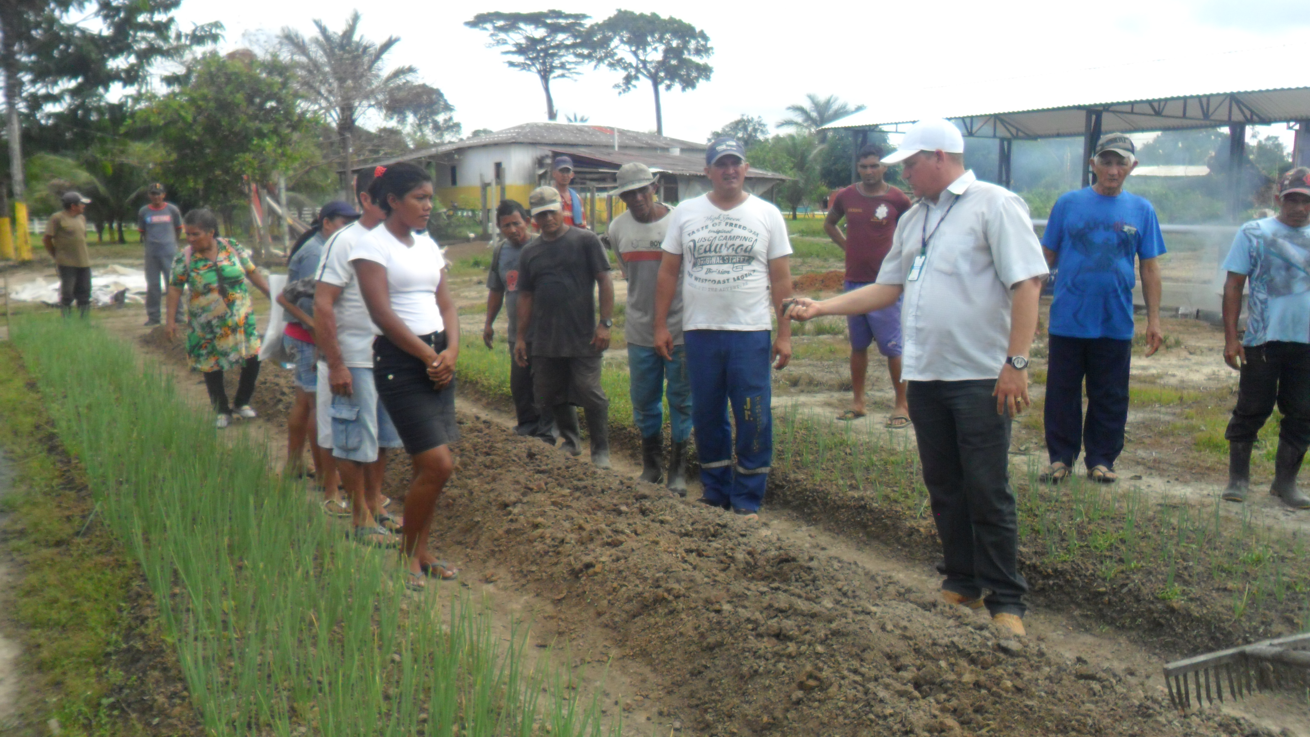 Preparação do canteiro de plantio - Foto IDAM / Tefé