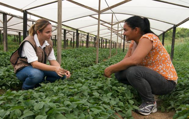Assistência Técnica - Foto Eduardo Aigner 1