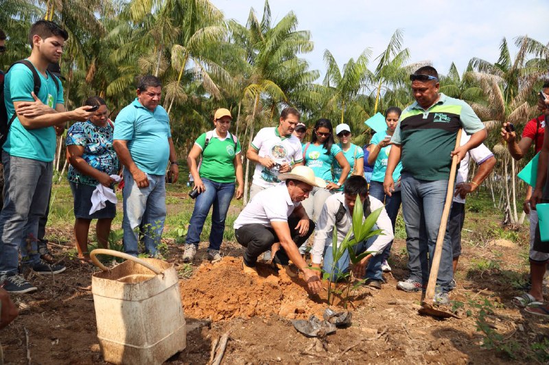Dia-de-Campo_açaí_diego-peres