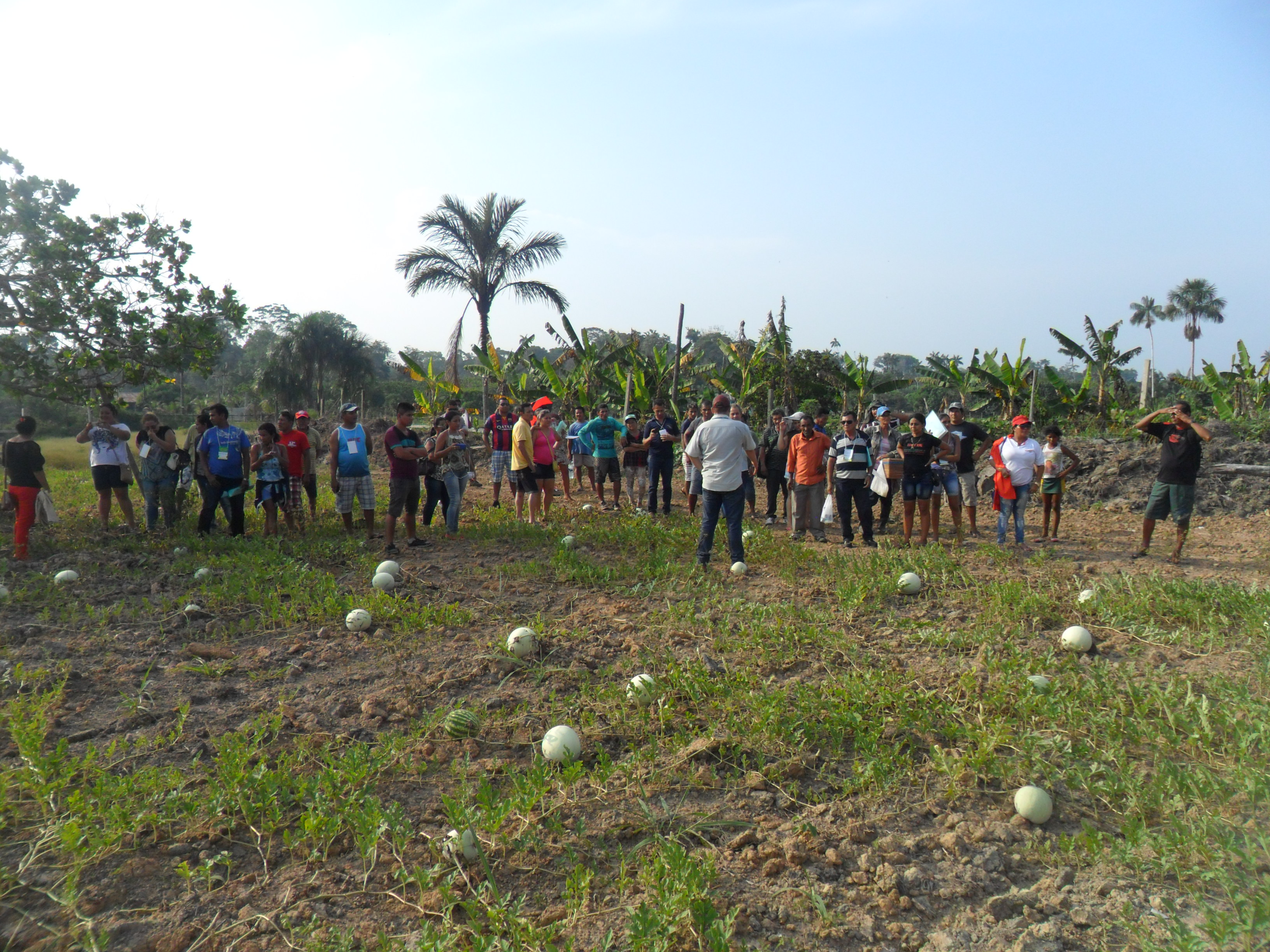 Agricultores familiares participantes da Excursão Foto:IDAM Tefé