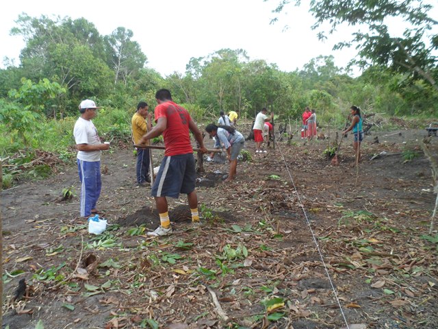 Adubação de cova das culturas de melancia e feijão Foto: IDAM Barcelos