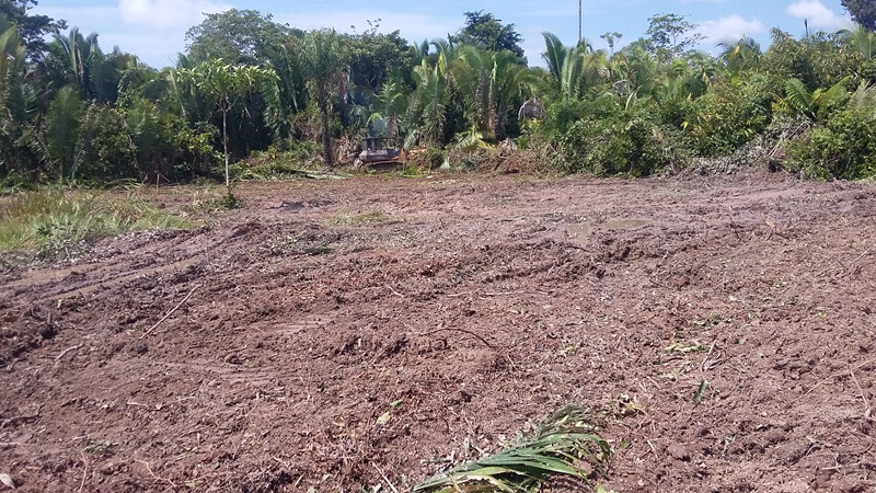 foto : IDAM / Humaitá