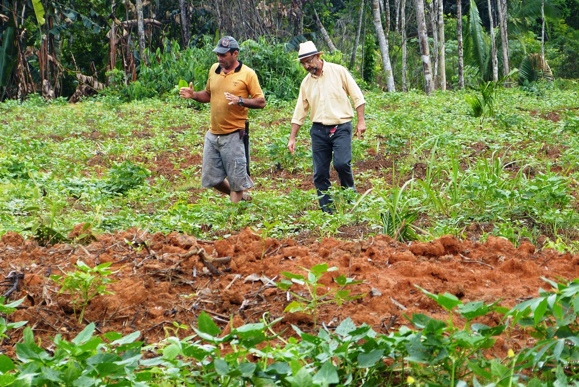 P1070357