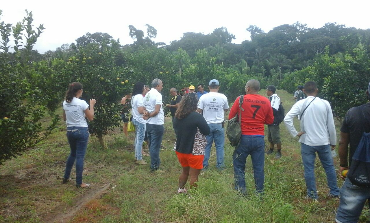 Manicoré excursão 6
