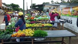Agricultores de Fonte Boa realizam Feira de Agricultura Familiar com apoio do Idam