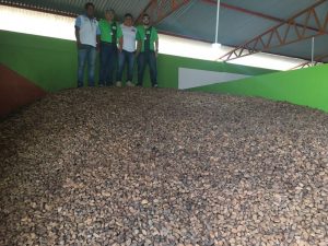 Imagem da notícia - Idam viabiliza projeto de aquisição de castanhas em Coari