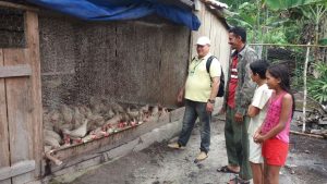 Imagem da notícia - Idam faz assistência técnica para avicultura e suinocultura em Tefé