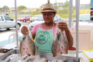 Imagem da notícia - Sistema Sepror promove quatro dias de Feirão do Pescado com preços a partir de R$ 5,50