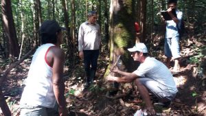 Imagem da notícia - Idam realiza curso de boas práticas de manejo para extração de óleo de Copaíba em São Gabriel da Cachoeira
