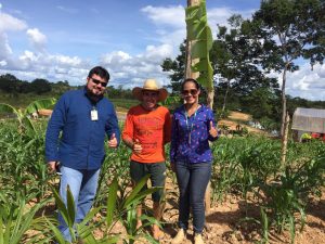 Imagem da notícia - Idam acompanha plantio de milho em propriedade no município de Humaitá