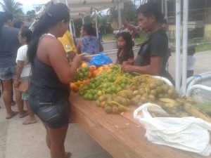 Imagem da notícia - Idam realiza 4ª edição da Feira do Agricultor Familiar em São Gabriel da Cachoeira