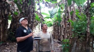Imagem da notícia - Idam faz visita técnica a produtores rurais no município de Tefé