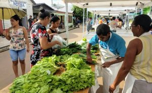 Nova Olinda do Norte ganha Feira da Agricultura Familiar