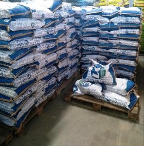 Imagem da notícia - Governo do Amazonas entrega 50 toneladas de sementes e incentiva produção de feijão e milho
