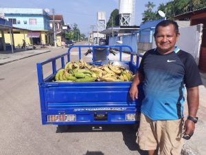 Imagem da notícia - Agricultor familiar entrega mais de 200 quilos de banana no PNAE