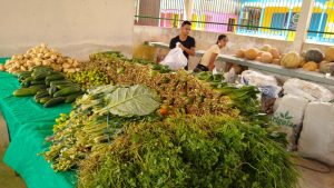 Imagem da notícia - Agricultores familiares comercializam alimentos pelo PAA com doação simultânea e movimentam economia no interior do AM