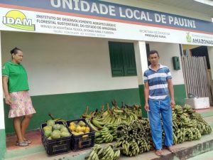 Hospital de Pauini recebe mais de 900 quilos de frutas da agricultura familiar