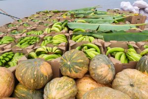 Estado adquire 12 toneladas de agricultores familiares de Anamã