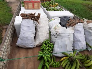 Idam e prefeitura de Caapiranga auxiliam agricultores familiares na comercialização de três toneladas de alimentos