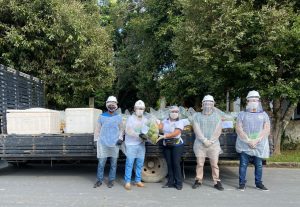 Agricultores familiares entregam 4 toneladas de alimentos em Urucará