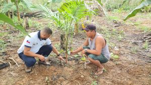 Idam realiza visita técnica para produtores beneficiários do projeto prioritário de açaí