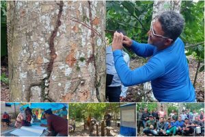 Idam realiza curso de boas práticas de extração de látex no Sul do Amazonas