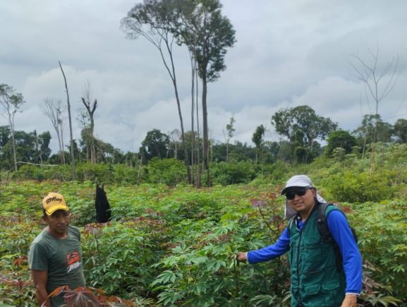 Governo do Amazonas incentiva manejo florestal e promove oportunidades de emprego e renda em comunidades de Parintins