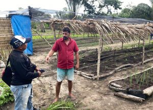 Idam dá continuidade a trabalhos junto à cooperativa Cooperaq no município de Barreirinha