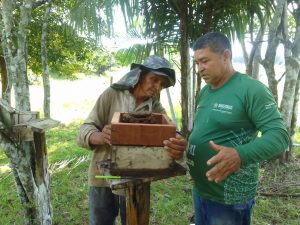 Imagem da notícia - Idam oferece assistência técnica, capacitação e entrega de documentos aos meliponicultores de Silves