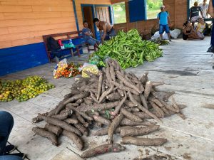 Imagem da notícia - Com apoio do Idam, agricultoras indígenas de Amaturá vendem oito toneladas de alimentos